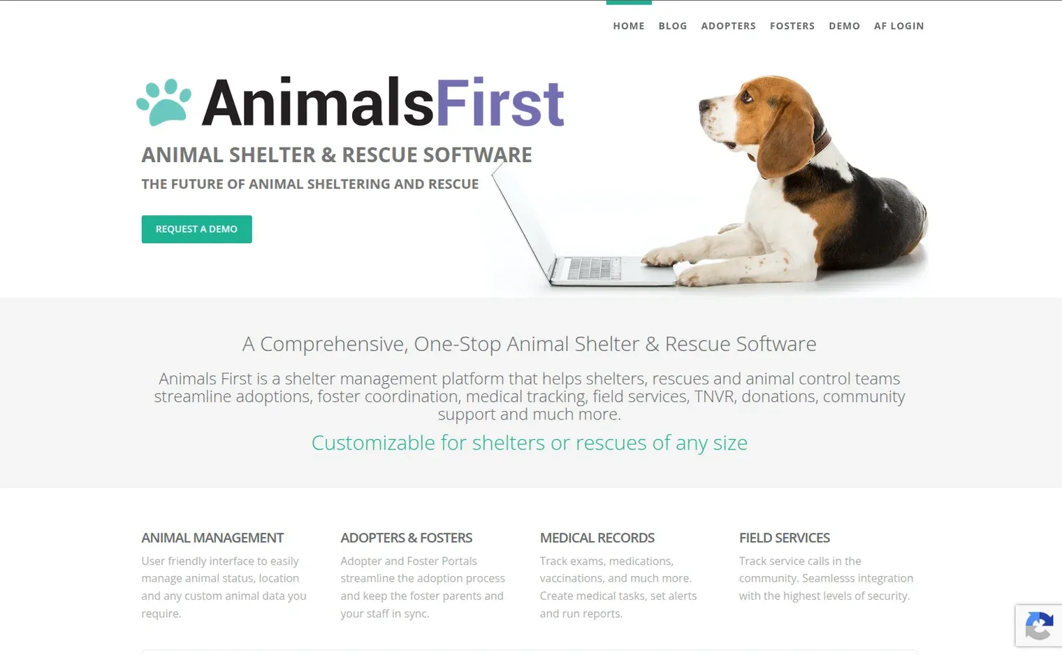 Animals First — The shelter management platform that rescues, shelters and animal control teams run on. I work across the whole product, full-stack.